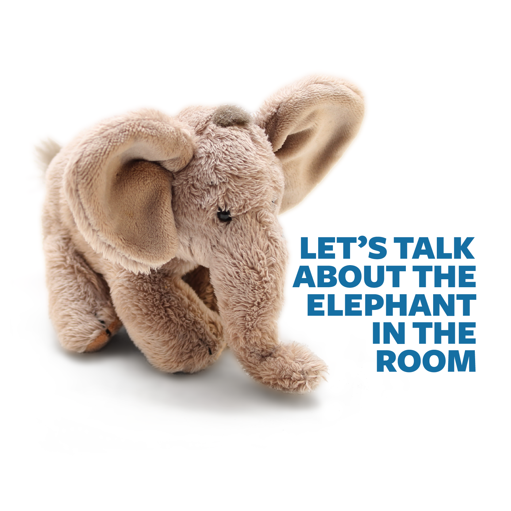Let's Talk About the Elephant in the Room